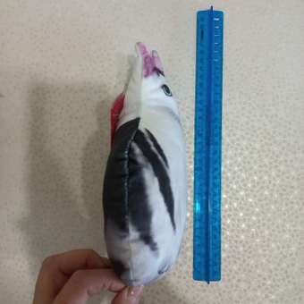 Мягкая игрушка Malvina котик Бендер: отзыв пользователя магазина низких цен ЕЩЁ