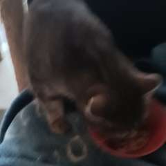 Фото отзыва 10151706