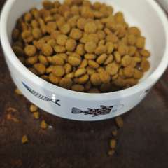 Фото отзыва 10629339