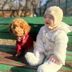 Фото отзыва 11264098