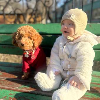 Джемпер для собак и кошек Зоозавр: отзыв пользователя. Зоомагазин Зоозавр