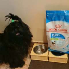 Фото отзыва 10958531