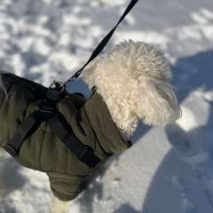 Фото отзыва 11066601