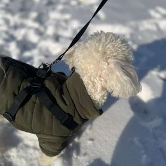 Комбинезон для собак и кошек Зоозавр: отзыв пользователя. Зоомагазин Зоозавр