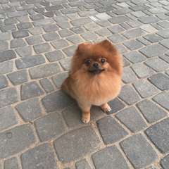 Фото отзыва 10636310