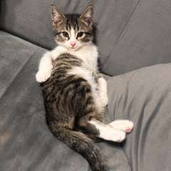 Фото отзыва 11121331