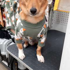 Фото отзыва 10857631