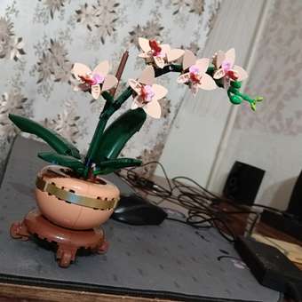 Конструктор LEGO Botanicals Мини-орхидея 274 дет.: отзыв пользователя Детский Мир