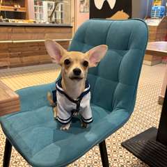 Фото отзыва 11271902