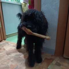 Фото отзыва 10801074