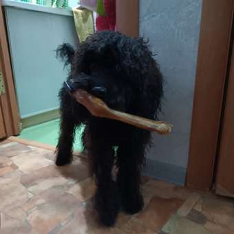 Лакомство для собак Light Bites Козья ножка с копытом 90-130г: отзыв пользователя. Зоомагазин Зоозавр