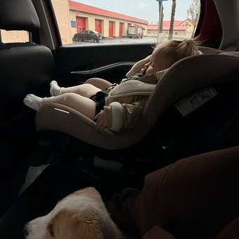 Автокресло Babyton Nord Fix Mokko Isofix 0+/1 (0-18 кг) бежевый: отзыв пользователя ДетМир