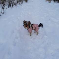 Фото отзыва 10916559