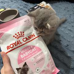 Фото отзыва 10633527