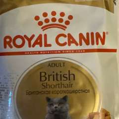 Фото отзыва 10601018