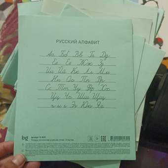 Тетрадь школьная BG Линия 12л зелёная 12-3031: отзыв пользователя ДетМир