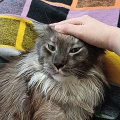 Фото отзыва 10539743