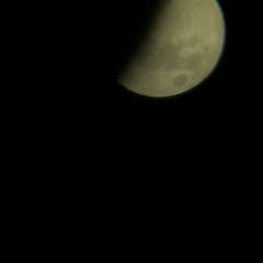 Фото отзыва 11296554