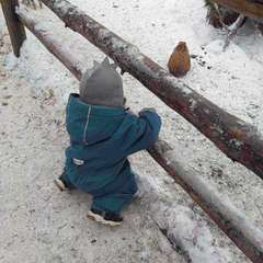 Фото отзыва 11091543