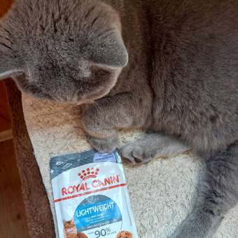 Корм для кошек ROYAL CANIN Light Weight Care для контроля набора веса 85г: отзыв пользователя. Зоомагазин Зоозавр
