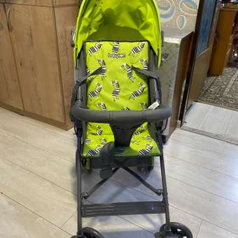 Коляска прогулочная Babyton Zoo Green: отзыв пользователя ДетМир