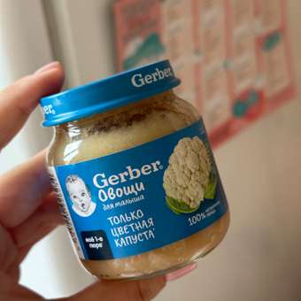 Пюре Gerber Цветная капуста с 4 мес 125 г: отзыв пользователя ДетМир