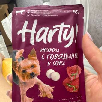 Корм для собак Harty 85г кусочки с говядиной в желе: отзыв пользователя. Зоомагазин Зоозавр