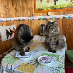 Фото отзыва 10589653