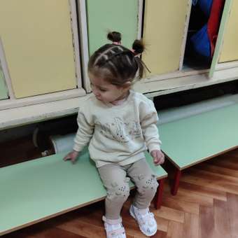 Свитшот Baby Gо: отзыв пользователя Детский Мир