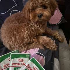 Фото отзыва 10971392