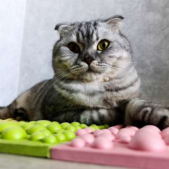 Корм сухой для собак PRO PLAN SENSITIVE SKIN 3 кг с лососем для средних пород: отзыв пользователя. Зоомагазин Зоозавр