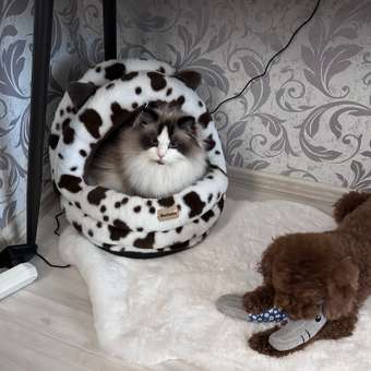 Домик Barbaks Му-му-му 43*39*42см: отзыв пользователя. Зоомагазин Зоозавр