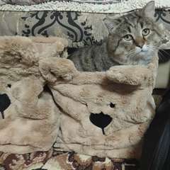 Фото отзыва 10632857