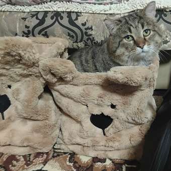 Корзина для хранения FUTURINO Home Медвежонок: отзыв пользователя Детский Мир