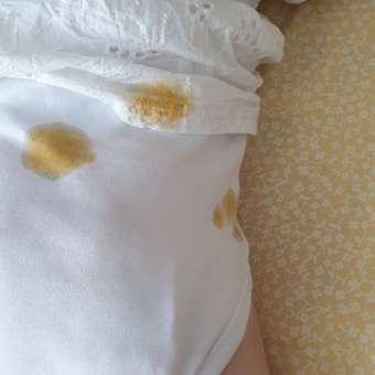 Трусики Pampers Premium Care 3 (6-11 кг) 96 шт.: отзыв пользователя ДетМир