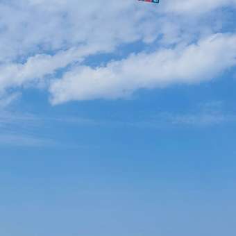 Воздушный змей Yiwu Yofun Trading Co: отзыв пользователя Детский Мир