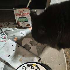 Фото отзыва 11003375