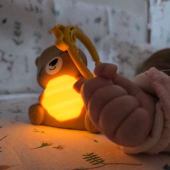 Игрушка Fisher Price Медвежонок: отзыв пользователя Детский Мир