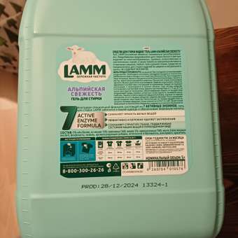Гель для стирки LAMM Альпийская свежесть 5 л: отзыв пользователя Детский Мир