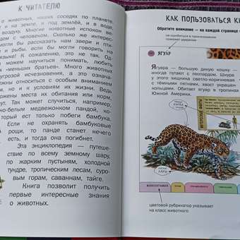 Книга Эксмо Все животные с крупными буквами: отзыв пользователя Детский Мир