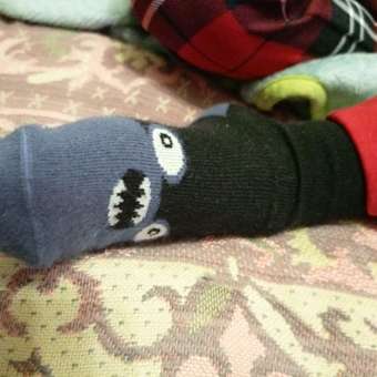 Носки Futurino 3 пары: отзыв пользователя Детский Мир