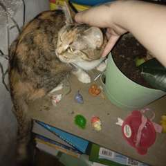 Фото отзыва 10697150