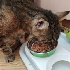 Фото отзыва 11023508