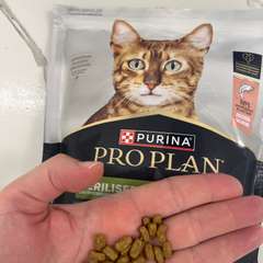 Фото отзыва 10979708