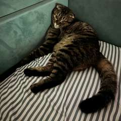 Фото отзыва 10573308