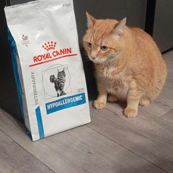 Корм для кошек ROYAL CANIN Hypoallergenic при пищевой аллергии 2кг: отзыв пользователя. Зоомагазин Зоозавр