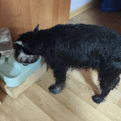 Фото отзыва 11037421