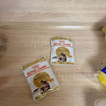 Корм для кошек ROYAL CANIN Мейн кун соус 85г: отзыв пользователя. Зоомагазин Зоозавр