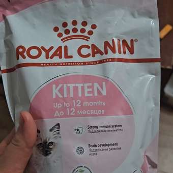 Корм сухой для котят ROYAL CANIN Kitten 300г: отзыв пользователя. Зоомагазин Зоозавр