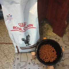 Фото отзыва 10516042